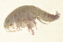  ( - TBLABR-165)  @11 [ ] CreativeCommons - Attribution (2009) Unspecified Centre for Biodiversity Genomics