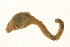  ( - TBLABR-023)  @13 [ ] CreativeCommons - Attribution (2009) Unspecified Centre for Biodiversity Genomics