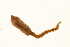  ( - TBLABR-043)  @12 [ ] CreativeCommons - Attribution (2009) Unspecified Centre for Biodiversity Genomics