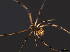  ( - LP1)  @13 [ ] Unspecified (default): All Rights Reserved  Unspecified Unspecified