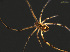  ( - LP1)  @13 [ ] Unspecified (default): All Rights Reserved  Unspecified Unspecified