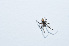  ( - LP3)  @13 [ ] Unspecified (default): All Rights Reserved  Unspecified Unspecified
