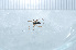  ( - LP5)  @12 [ ] Unspecified (default): All Rights Reserved  Unspecified Unspecified