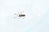 ( - LP5)  @12 [ ] Unspecified (default): All Rights Reserved  Unspecified Unspecified