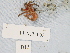  ( - MTI-SCCWRP-00119)  @13 [ ] CreativeCommons - Attribution Non-Commercial Share-Alike (2009) Cheryl A. Brantley Los Angeles County Sanitation District