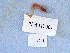  ( - MTI-SCCWRP-00035)  @13 [ ] CreativeCommons - Attribution Non-Commercial Share-Alike (2009) Cheryl A. Brantley Los Angeles County Sanitation District