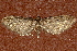  ( - AVBC 002-10)  @12 [ ] CreativeCommons - Attribution (2010) Unspecified Centre for Biodiversity Genomics