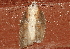  ( - AVBC 077-10)  @12 [ ] CreativeCommons - Attribution (2010) Unspecified Centre for Biodiversity Genomics