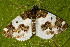  ( - AVBC 084-10)  @12 [ ] CreativeCommons - Attribution (2010) Unspecified Centre for Biodiversity Genomics