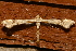  ( - AVBC 086-10)  @13 [ ] CreativeCommons - Attribution (2010) Unspecified Centre for Biodiversity Genomics
