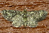  ( - AVBC 108-10)  @14 [ ] CreativeCommons - Attribution (2010) Unspecified Centre for Biodiversity Genomics