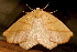  ( - AVBC 1110-11)  @12 [ ] CreativeCommons - Attribution (2011) CBG Photography Group Centre for Biodiversity Genomics