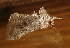  ( - AVBC 1301-11)  @13 [ ] CreativeCommons - Attribution (2012) CBG Photography Group Centre for Biodiversity Genomics