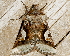 ( - AVBC 862-11)  @12 [ ] CreativeCommons - Attribution (2011) CBG Photography Group Centre for Biodiversity Genomics