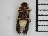  ( - GADNR-PNWR-PHOTIN-2024-01)  @11 [ ] CreativeCommons  Attribution Non-Commercial (by-nc) (2024) The Xerces Society The Xerces Society