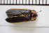  ( - WMHM-24-01-RD)  @11 [ ] CreativeCommons  Attribution Non-Commercial (by-nc) (2024) The Xerces Society The Xerces Society