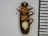  ( - XS-EFNWRPD-PHOSAL-2023-01)  @11 [ ] CreativeCommons  Attribution Non-Commercial (by-nc) (2024) The Xerces Society The Xerces Society
