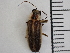  ( - XS-EFNWR-PHOSAL-2023-02)  @11 [ ] CreativeCommons  Attribution Non-Commercial (by-nc) (2024) The Xerces Society The Xerces Society