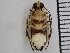  ( - XS-KMSP-PHOHEB-2024-01)  @11 [ ] CreativeCommons  Attribution Non-Commercial (by-nc) (2024) The Xerces Society The Xerces Society