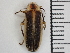  ( - XS-RCNP-PHOFOR-2024-04)  @11 [ ] CreativeCommons  Attribution Non-Commercial (by-nc) (2024) The Xerces Society The Xerces Society