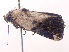  ( - ONP25-07-G06)  @11 [ ] CreativeCommons - Attribution Share Alike (2025) CBG Photography Group Centre for Biodiversity Genomics