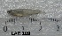  ( - LAR189)  @12 [ ] Copyright  LAR-IBR Unspecified