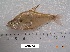  ( - LAR278)  @14 [ ] Copyright  LAR-IBR Unspecified