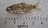 ( - LAR279)  @13 [ ] Copyright  LAR-IBR Unspecified