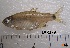  ( - LAR279)  @13 [ ] Copyright  LAR-IBR Unspecified