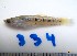  ( - LAR334)  @12 [ ] Copyright  LAR-IBR Unspecified