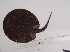  ( - LAR417)  @11 [ ] Unspecified (default): All Rights Reserved  Unspecified Unspecified