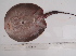  ( - LAR417)  @11 [ ] Unspecified (default): All Rights Reserved  Unspecified Unspecified