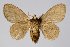  ( - BC-GD0542)  @11 [ ] Copyright (2018) Guy Durand Research Collection of Guy Durand