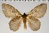  ( - BC-GD0567)  @11 [ ] Copyright (2018) Guy Durand Research Collection of Guy Durand