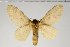  ( - BC-GD0589)  @11 [ ] Copyright (2018) Guy Durand Research Collection of Guy Durand