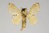  ( - BC-GD0592)  @11 [ ] Copyright (2018) Guy Durand Research Collection of Guy Durand