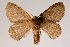  ( - BC-GD0610)  @11 [ ] Copyright (2018) Guy Durand Research Collection of Guy Durand