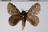  ( - BC-GD0611)  @11 [ ] Copyright (2018) Guy Durand Research Collection of Guy Durand