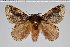  ( - BC-GD0616)  @11 [ ] Copyright (2018) Guy Durand Research Collection of Guy Durand