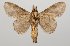  ( - BC-GD0632)  @11 [ ] Creative Common (2018) Guy Durand Research Collection of Guy Durand