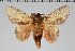  ( - BC-GD0634)  @11 [ ] Creative Common (2018) Guy Durand Research Collection of Guy Durand