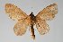 ( - BC-GD0648)  @11 [ ] Creative Common (2018) Guy Durand Research Collection of Guy Durand