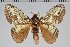  ( - BC-GD0651)  @11 [ ] Creative Common (2018) Guy Durand Research Collection of Guy Durand