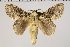  ( - BC-GD0657)  @11 [ ] Creative Common (2018) Guy Durand Research Collection of Guy Durand