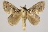  ( - BC-GD0659)  @11 [ ] Creative Common (2018) Guy Durand Research Collection of Guy Durand