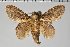  ( - BC-GD0661)  @11 [ ] Creative Common (2018) Guy Durand Research Collection of Guy Durand