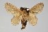  ( - BC-GD0661)  @11 [ ] Creative Common (2018) Guy Durand Research Collection of Guy Durand