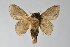 ( - BC-GD0662)  @11 [ ] Creative Common (2018) Guy Durand Research Collection of Guy Durand
