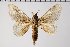  ( - BC-GD0693)  @11 [ ] Creative Common (2018) Guy Durand Research Collection of Guy Durand