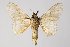  ( - BC-GD0693)  @11 [ ] Creative Common (2018) Guy Durand Research Collection of Guy Durand